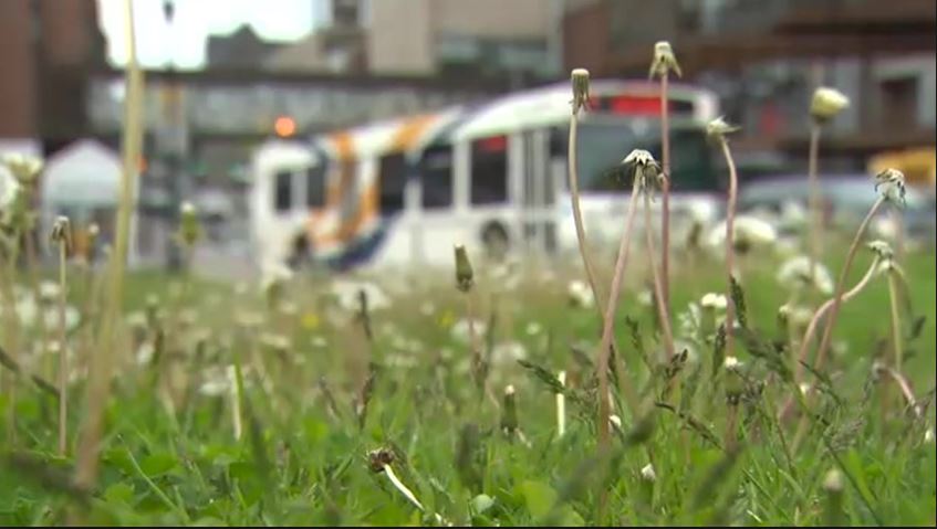 The deadline for applications for the low income transit pass pilot program in Halifax has been extended.