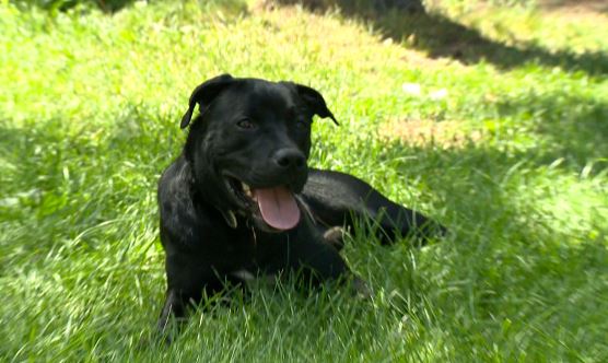 Soaking up the sunshine