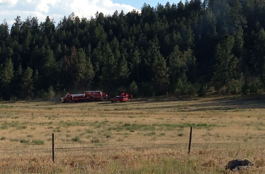 The Kelowna Fire Department responded to a grass fire near UBC Okanagan on Friday afternoon. 