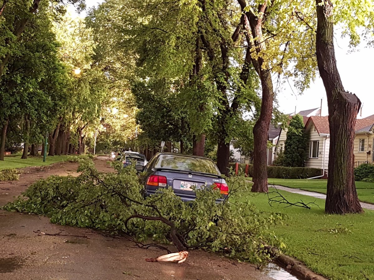 Twitter user @KimHinesSN captures storm damage in Winnipeg's west end.