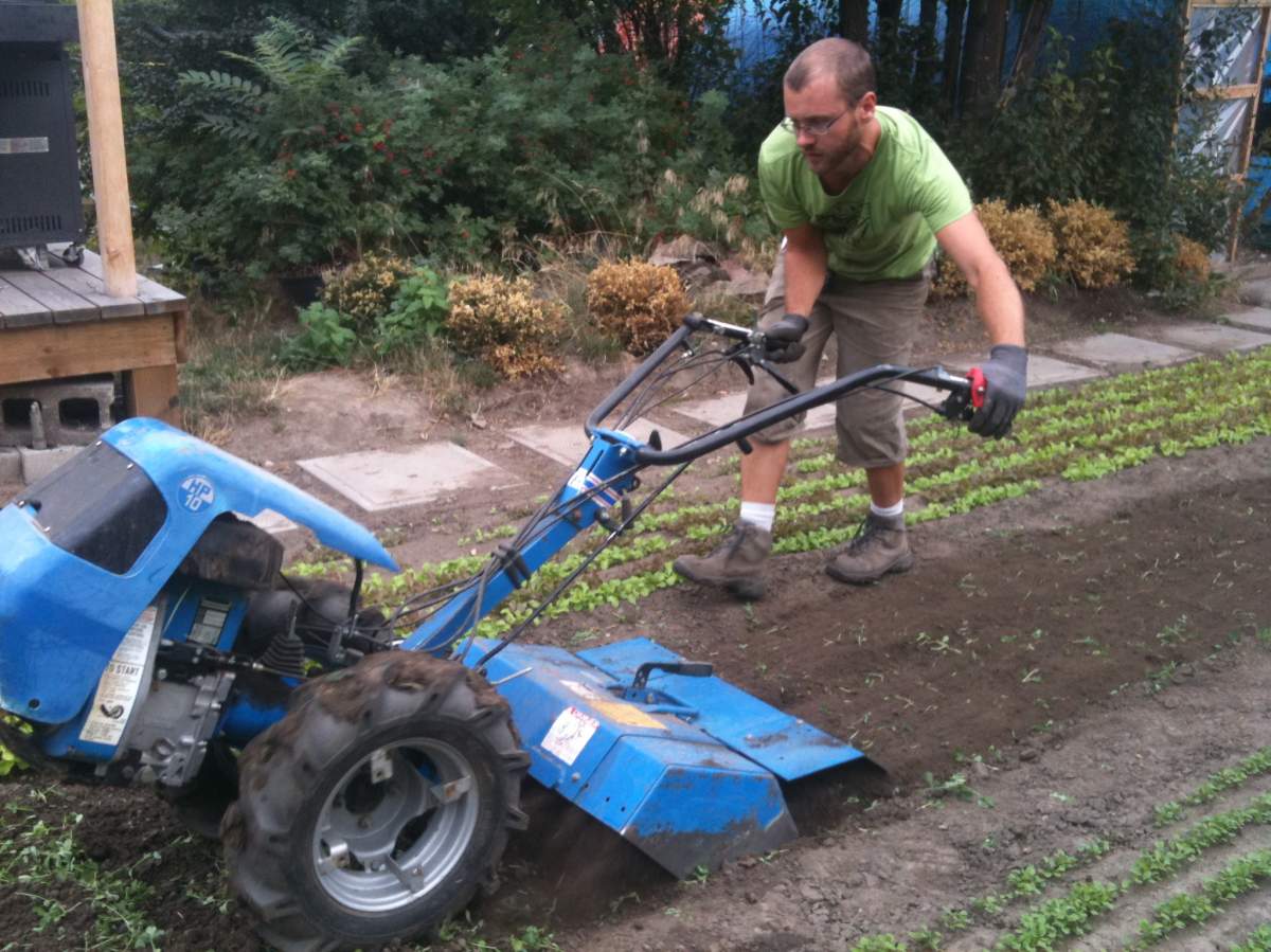 Kelowna resident Curtis Stone makes a living by selling produce he grows on his urban farm.