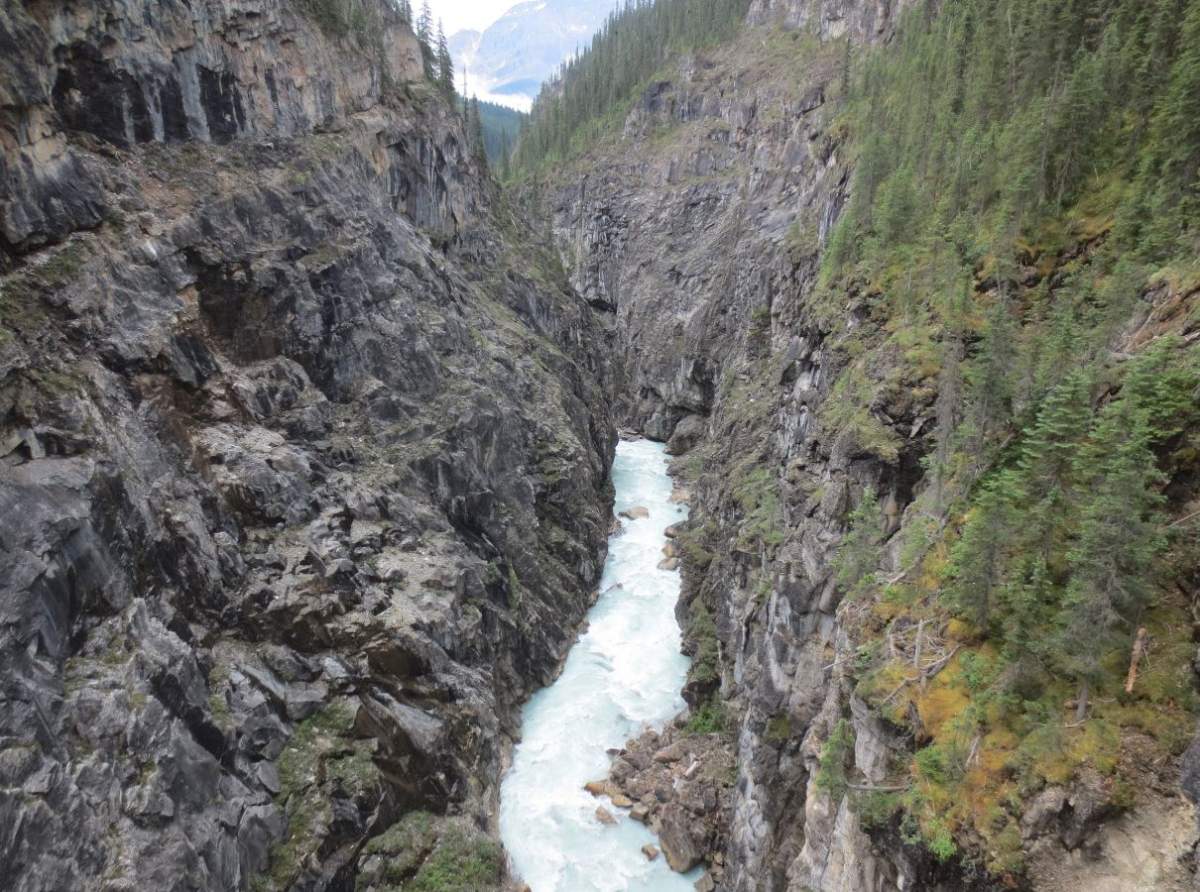 Yoho River search