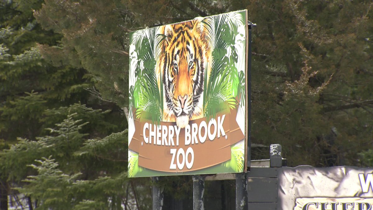 The former Administrative Director of the Cherry Brook Zoo in Saint is suing for wrongful dismissal.