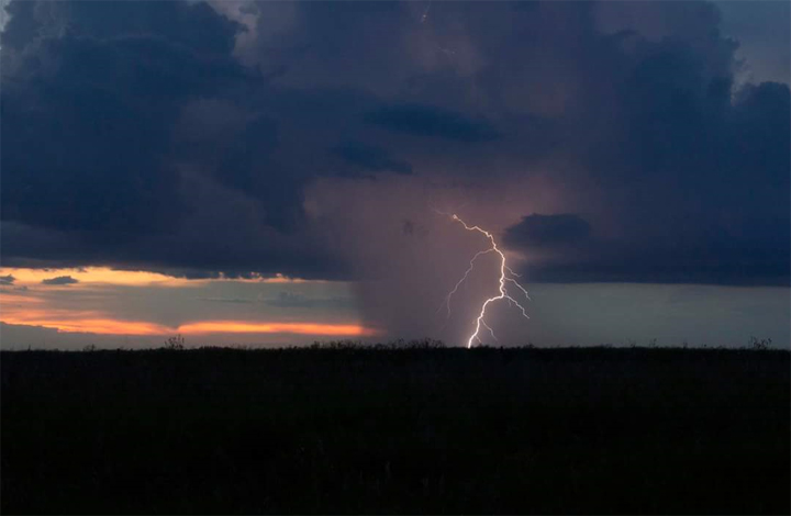 Aug. 16: Christina Hryb took this Your Saskatchewan photo in Domremy.
