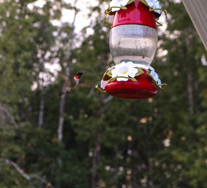 Aug. 23: Brittany Olsen took this Your Saskatchewan photo in Prince Albert.