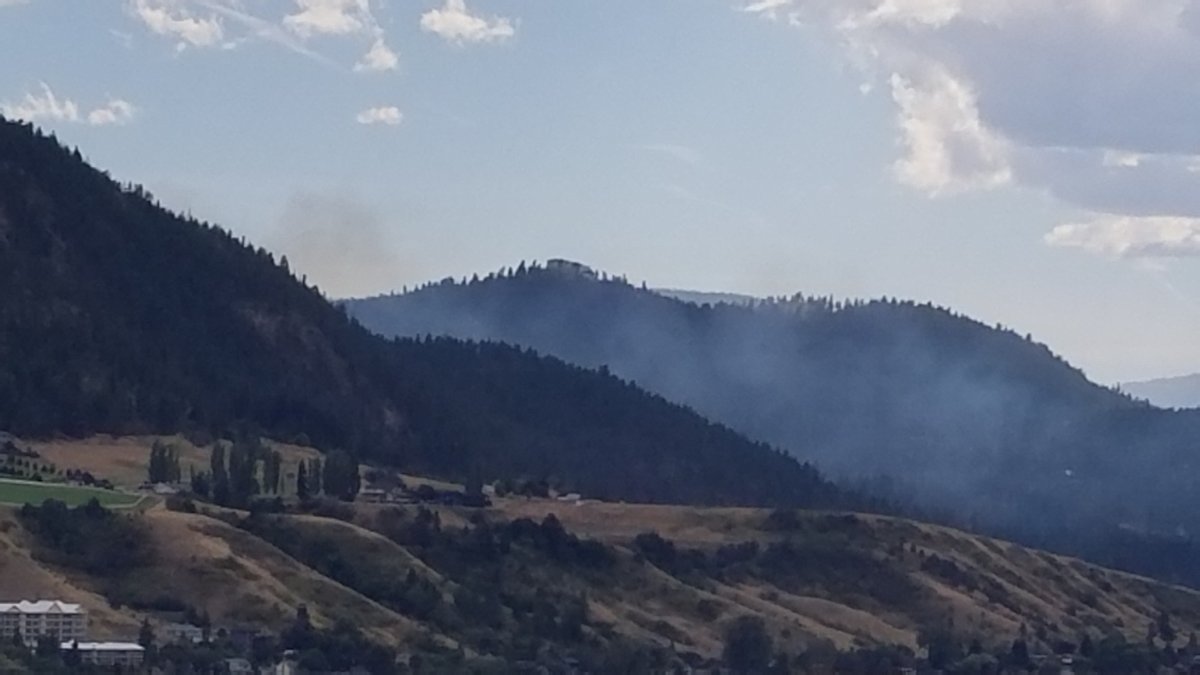 Fire near Predator Ridge now in mop-up stage - image