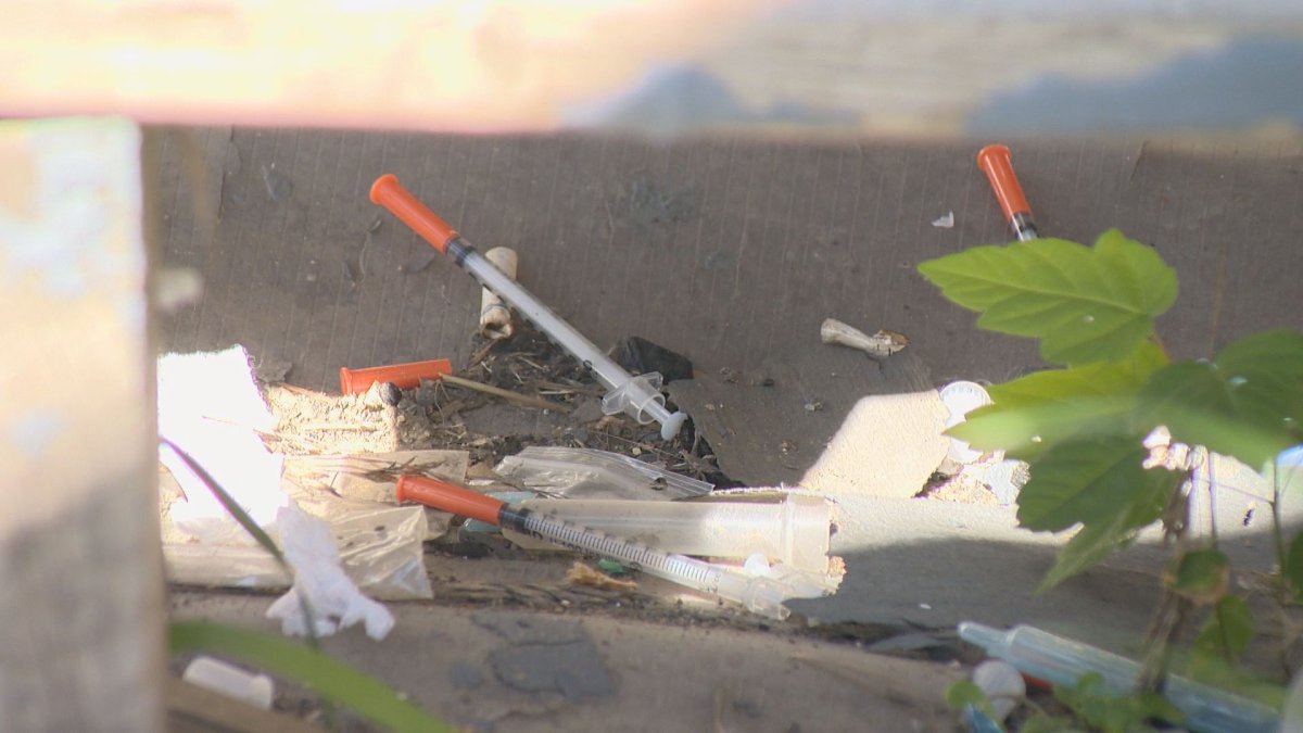 Should the City of Vancouver add more park rangers to deal with dirty needles? - image