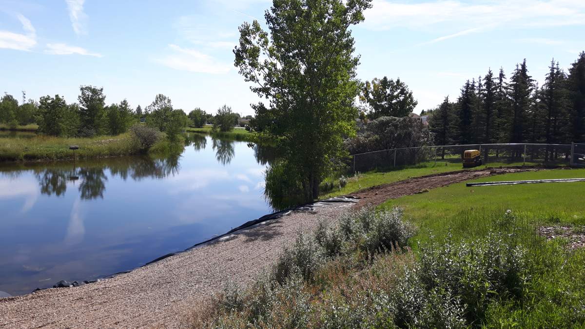 A new trail is being built around wetland at the Alberta Birds of Prey Centre in Coaldale.