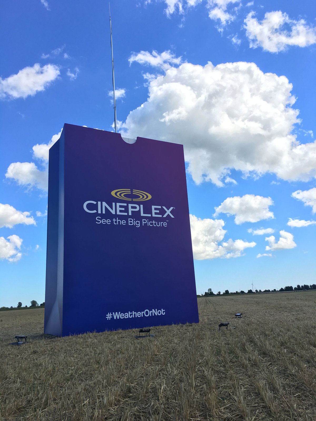 A giant bag of unpopped popcorn sits in a field in Tilbury, Ontario.