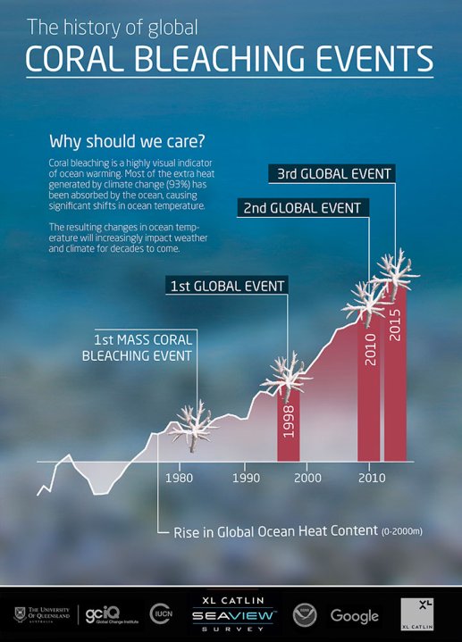 WATCH Researchers capture timelapse of coral bleaching Globalnews.ca