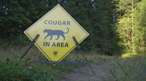 Signs have been posted in the area of a popular North Vancouver trail.