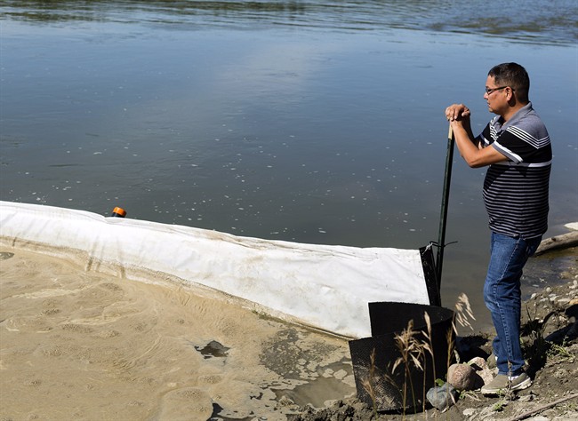 Chief Wally Burns of the James Smith Cree Nation surveys the Saskatchewan River next to an oil boom he had a hand in setting up, on Friday, August 25, 2016, in this handout photo. A First Nation in northern Saskatchewan says oil from the Husky Energy pipeline leak has shown up in the spawning grounds of an endangered species.Officials from James Smith Cree Nation say an oil plume and foam was discovered in the Saskatchewan River where lake sturgeon spawn.