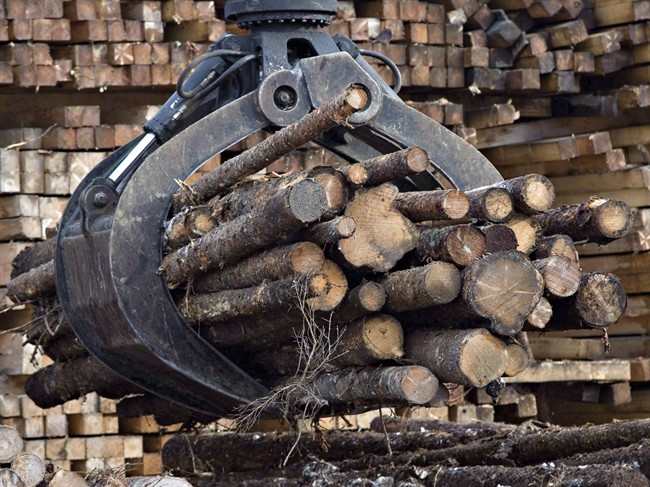 With a fall deadline approaching, Canada's chief negotiator in the softwood-lumber talks with the United States says the two sides remain far apart on several key issues.