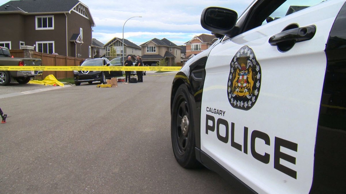 Calgary police investigate after a woman's body was discovered in the driveway of a home in the 100 block of Cranford Green S.E. on Saturday, Aug. 27, 2016. 