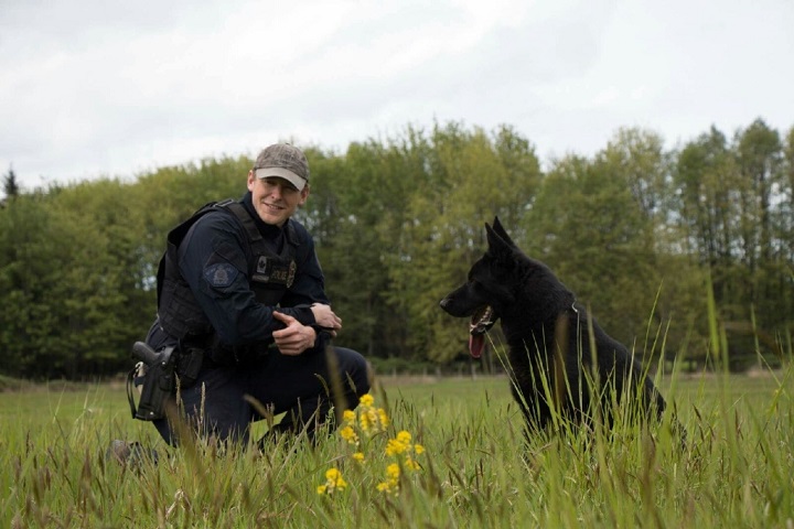Nanaimo police dog tracks down woman missing for 4 days in wilderness - image
