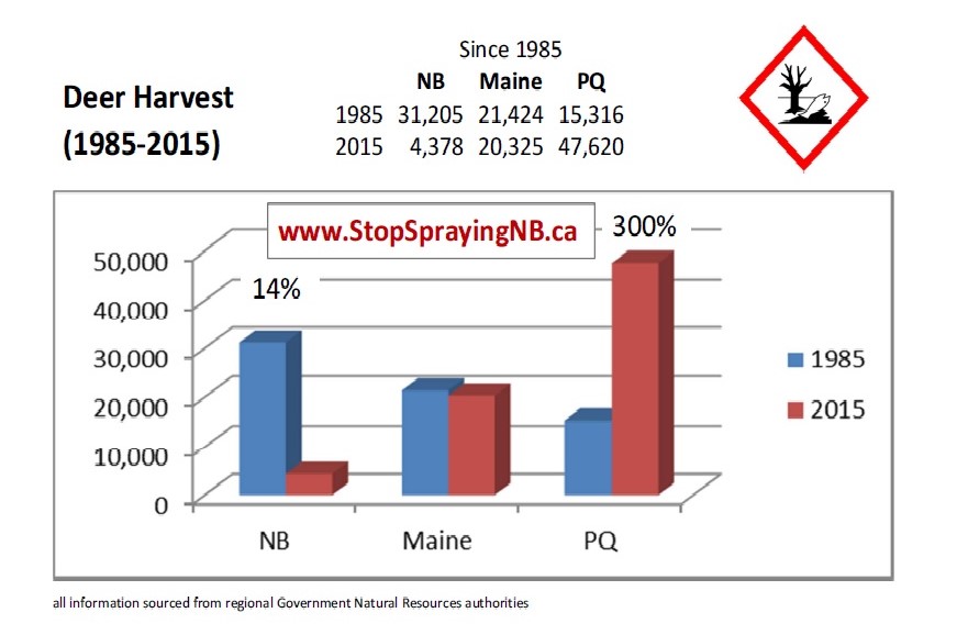 ‘Stop Spraying New Brunswick’ blames deer population decline on herbicides - image