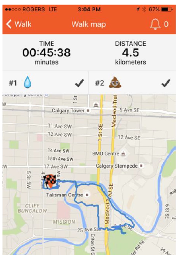 Dog walking app screenshot