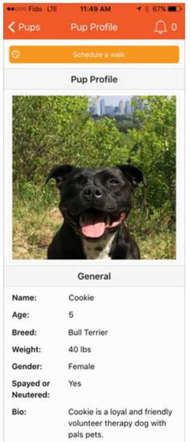 Dog walking app screenshot