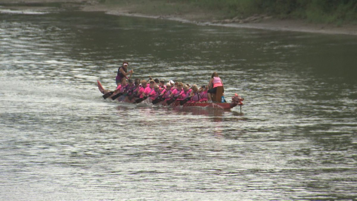 The Edmonton Dragon Boat Festival came to a close Sunday with the annual Pink Ribbon Challenge Race.
