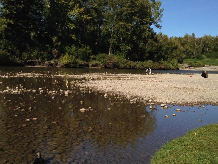 The Elbow River in Calgary's Stanley Park Aug. 26, 2016. 