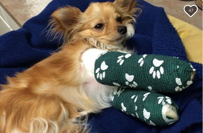 The accident happened at Watson’s Hound Lounge in Kelowna.