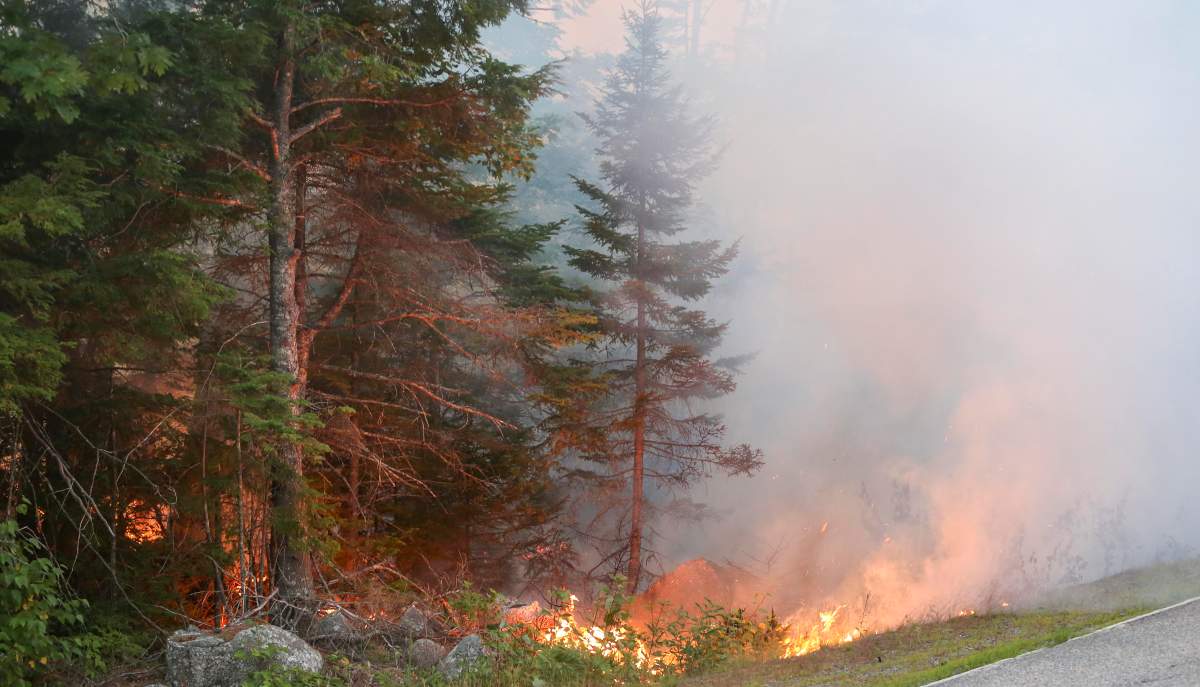 A stubborn fire is growing near Seven Mile Lake in Nova Scotia, prompting the government to impose a travel ban on the province’s trails and parks.