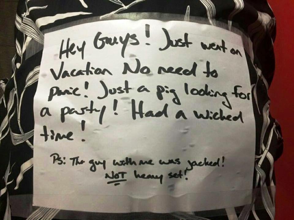 Henry the Pig returns home to Calgary’s The Unicorn pub following weekend theft - image