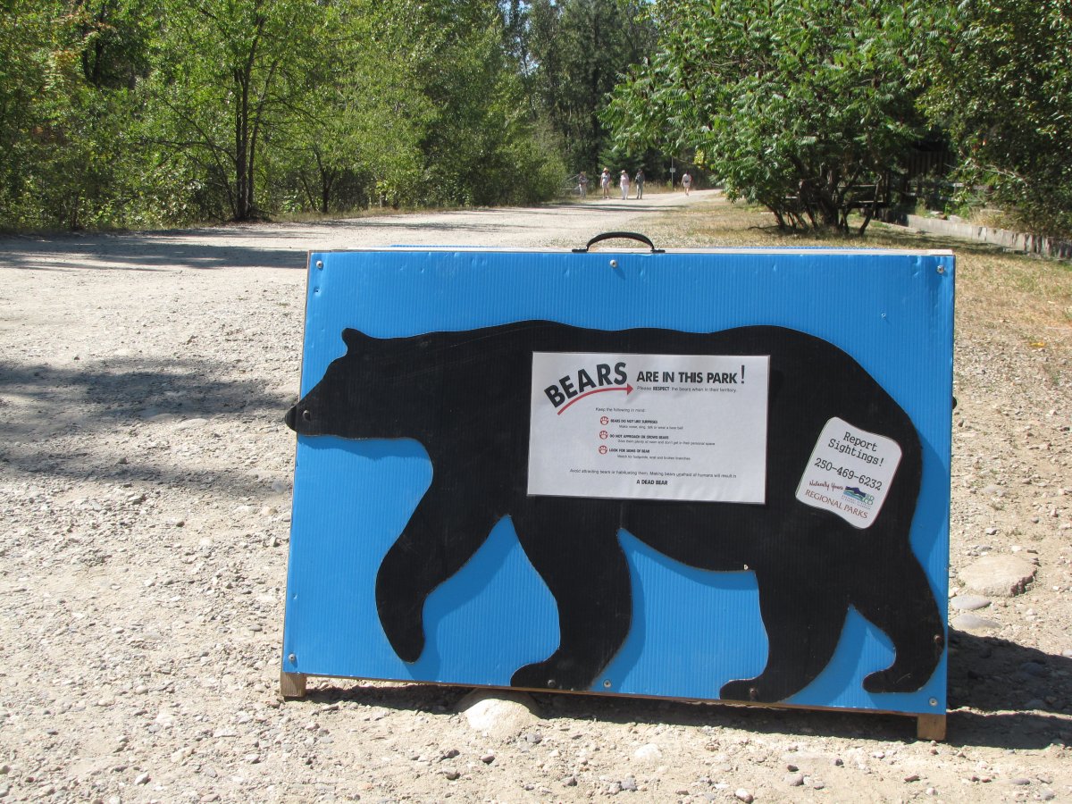 Bear warning sign at Mission Creek Regional Park.