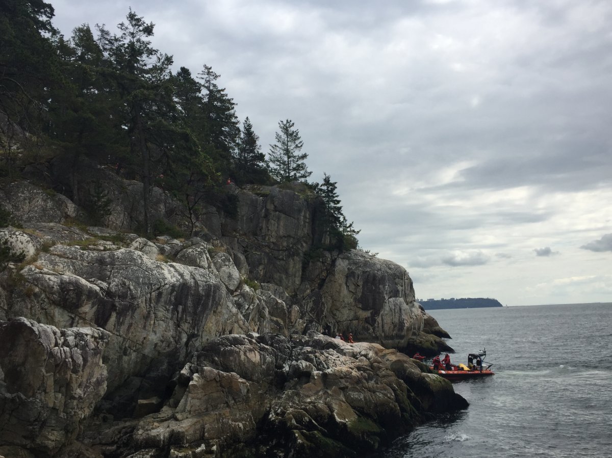 7-year-old boy in serious condition after fall off cliff at Lighthouse Park - image