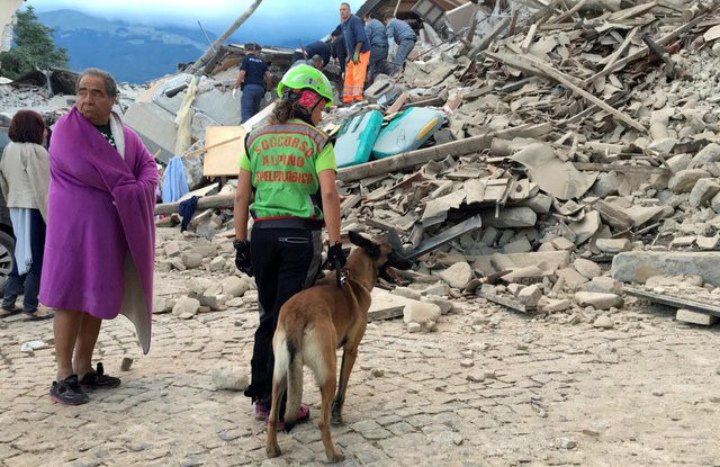 A  man wrapped in a blanket looks on as a rescuer with a dog stand in front a collapsed house following a quake in Amatrice, central Italy, August 24, 2016. 