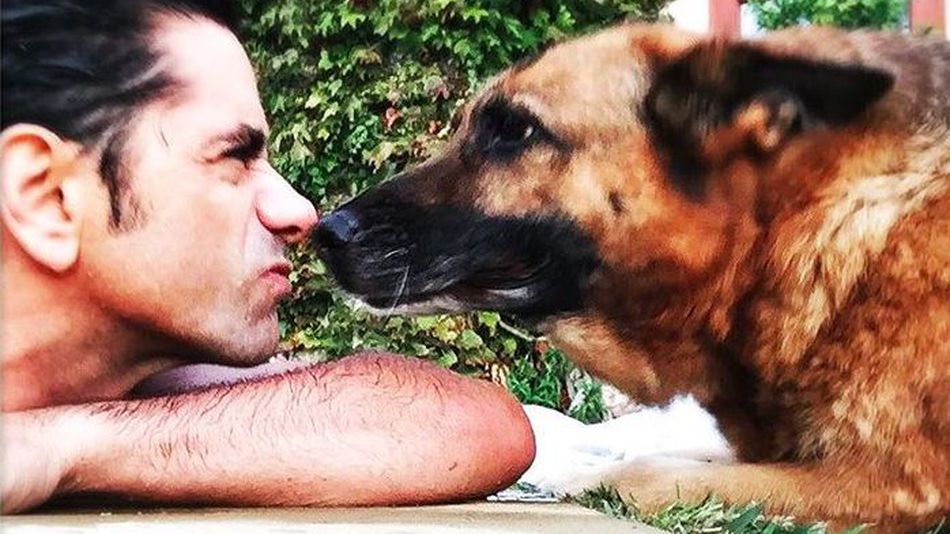 John Stamos shares tribute to his beloved dog Linka - image