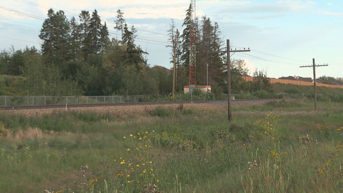 Human remains were found on the train tracks in Leduc Monday, Aug. 1, 2016.