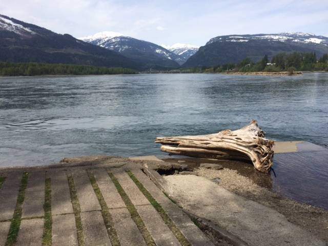 Revelstoke RCMP told Global News in April that the then-missing man was near this log when he slipped and fell into the Columbia River. 
