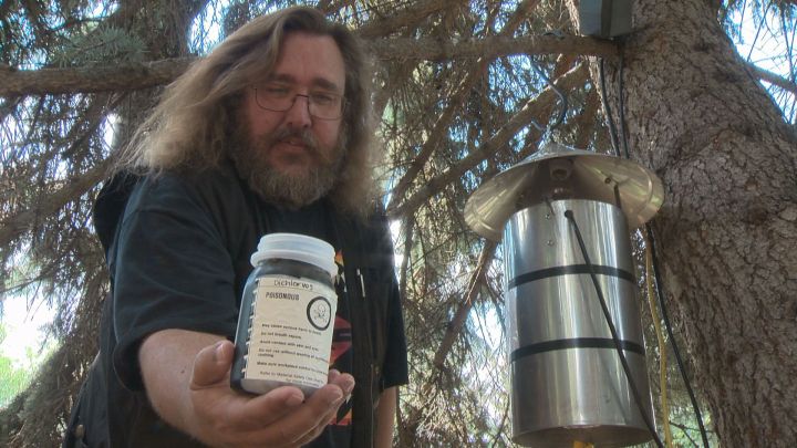 Mike Jenkins, biological scientist technician and resident bug man with the City of Edmonton, says the city is experiencing a higher-than-usual mosquito population. 