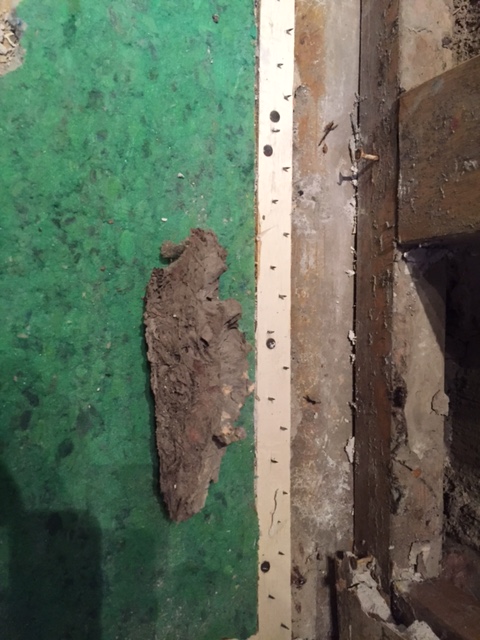 Flood silt discovered under the carpet