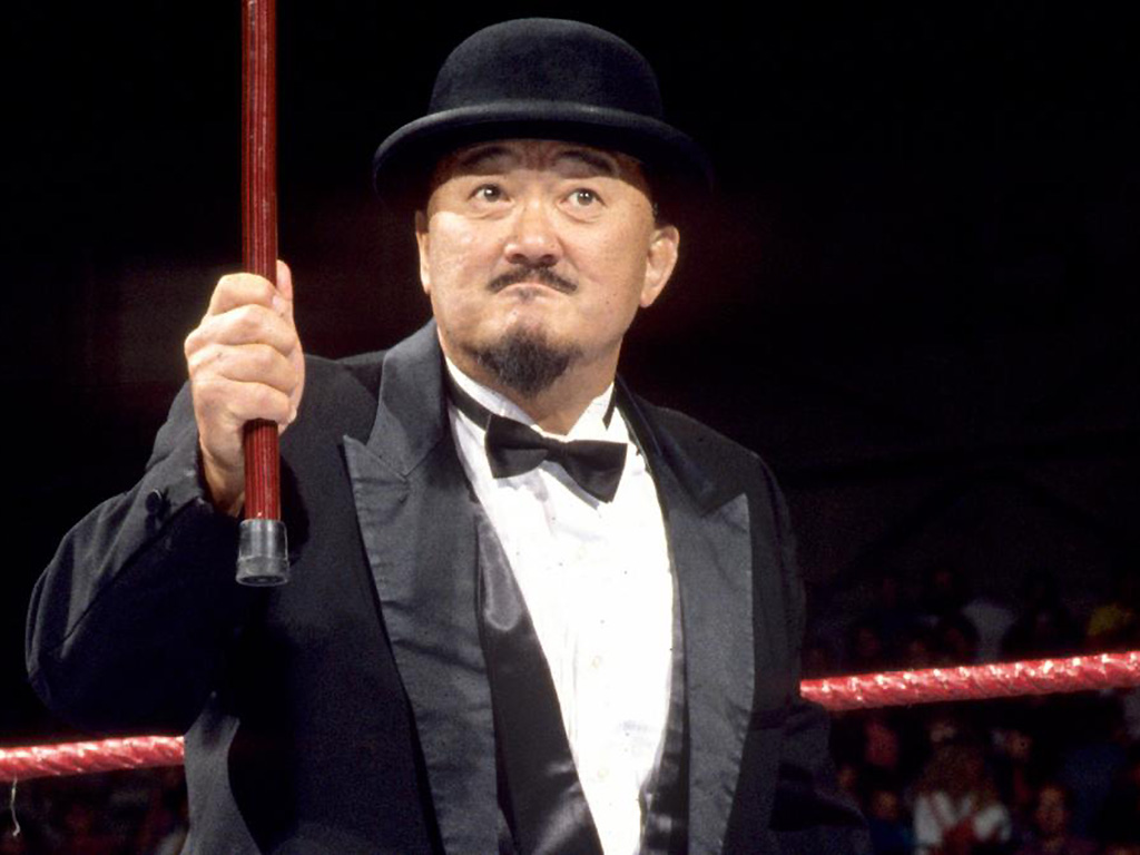 Mr. Fuji