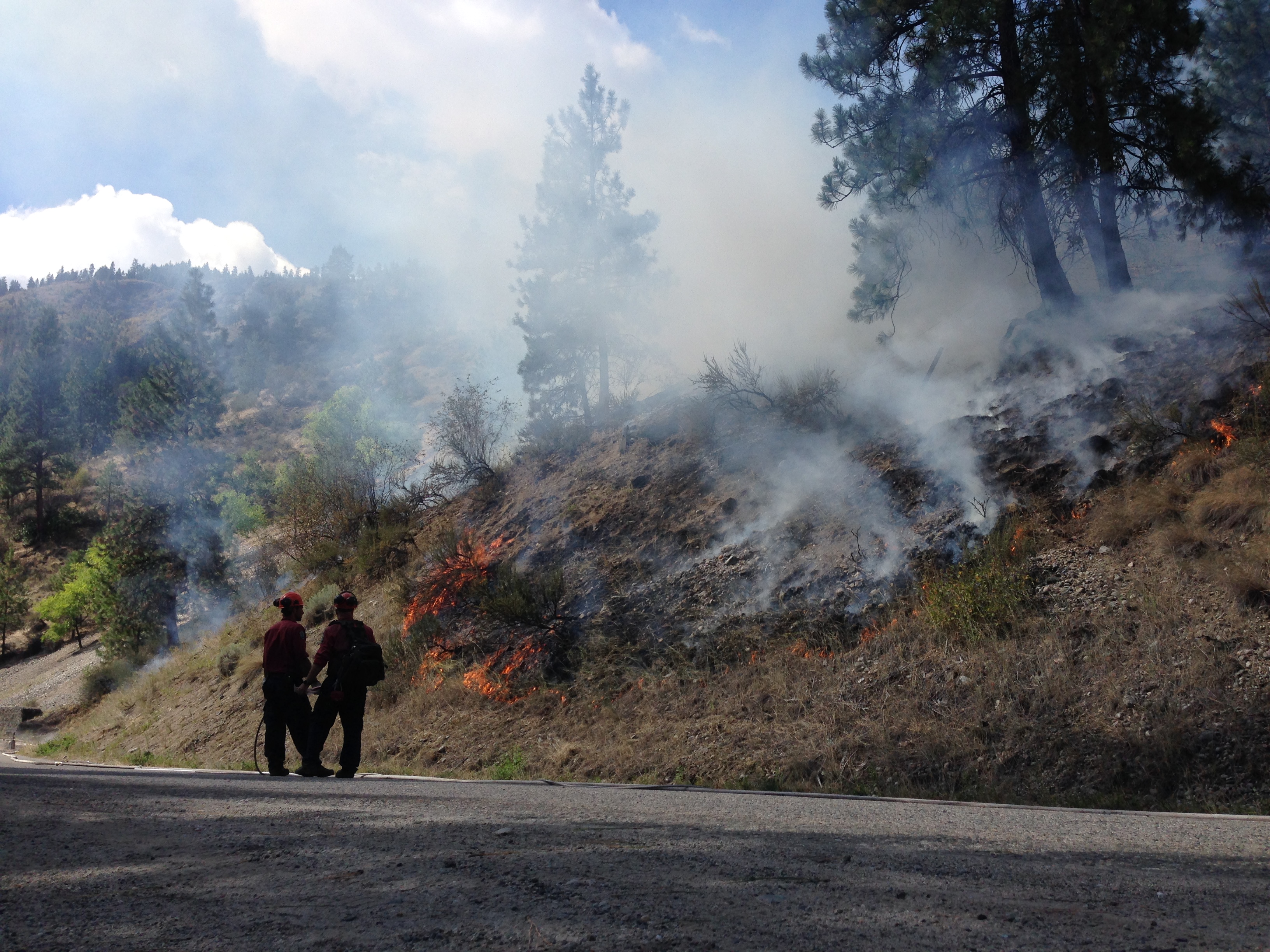 Multiple Homes Evacuated In Okanagan Falls Due To Wildfire | Globalnews.ca