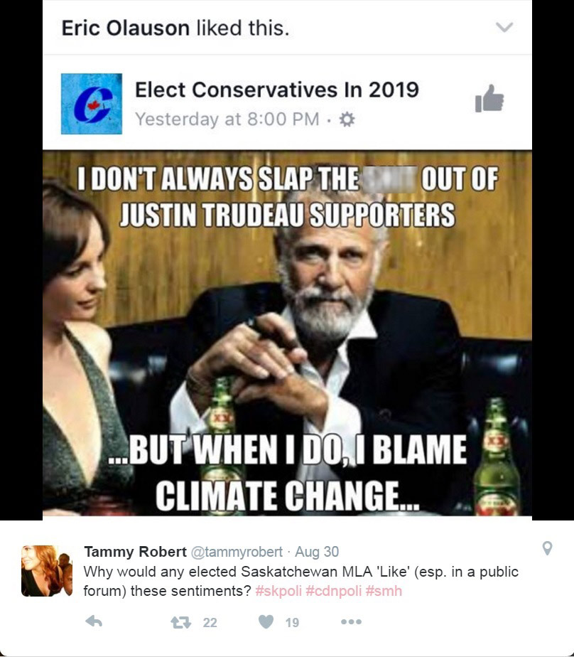 Saskatoon MLA Eric Olauson has been removed as chair of caucus committee after liking meme about Prime Minister Justin Trudeau.
