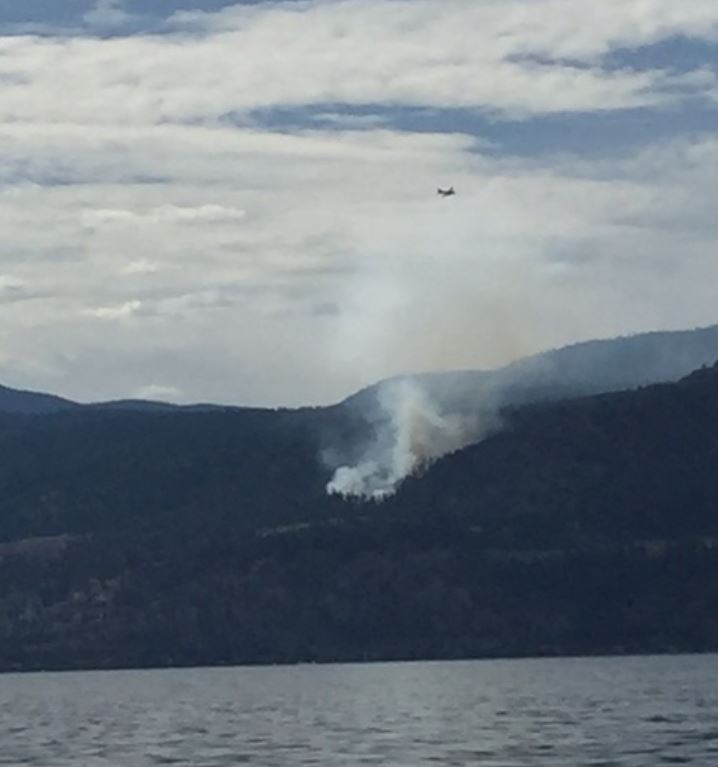 Fire Information Officer, Rachel Witt, says it covers about 1.5 hectares.
