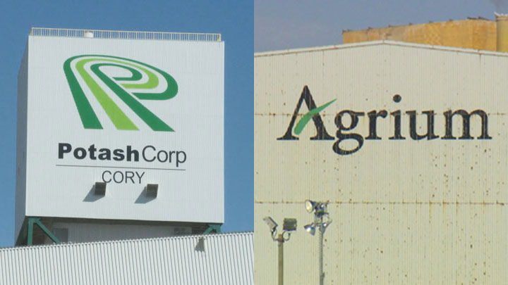 Bloomberg News reported that PotashCorp and Agrium were in advanced merger talks with an announcement possible as early as next week.