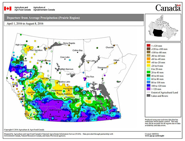 This map illustrates how areas across most of the southern Prairies, have experienced much higher-than-average precipitation during the 2016 growing season.