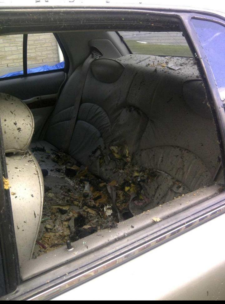 The inside of the cab where Aaron Driver detonated an explosive device on Aug. 10, 2016.