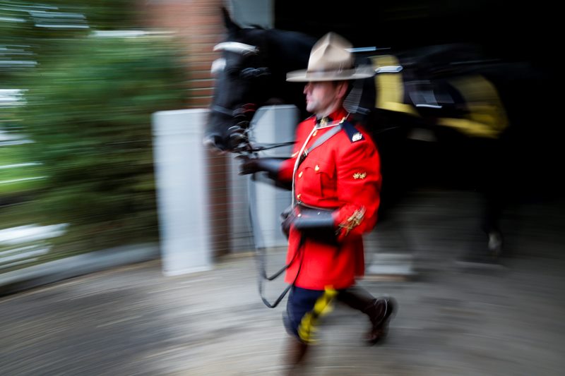 A member of the RCMP Musicla Ride leads his horse out of the barns at Spruce Meadows in Calgary, Alta., Friday, Sept. 12, 2014.