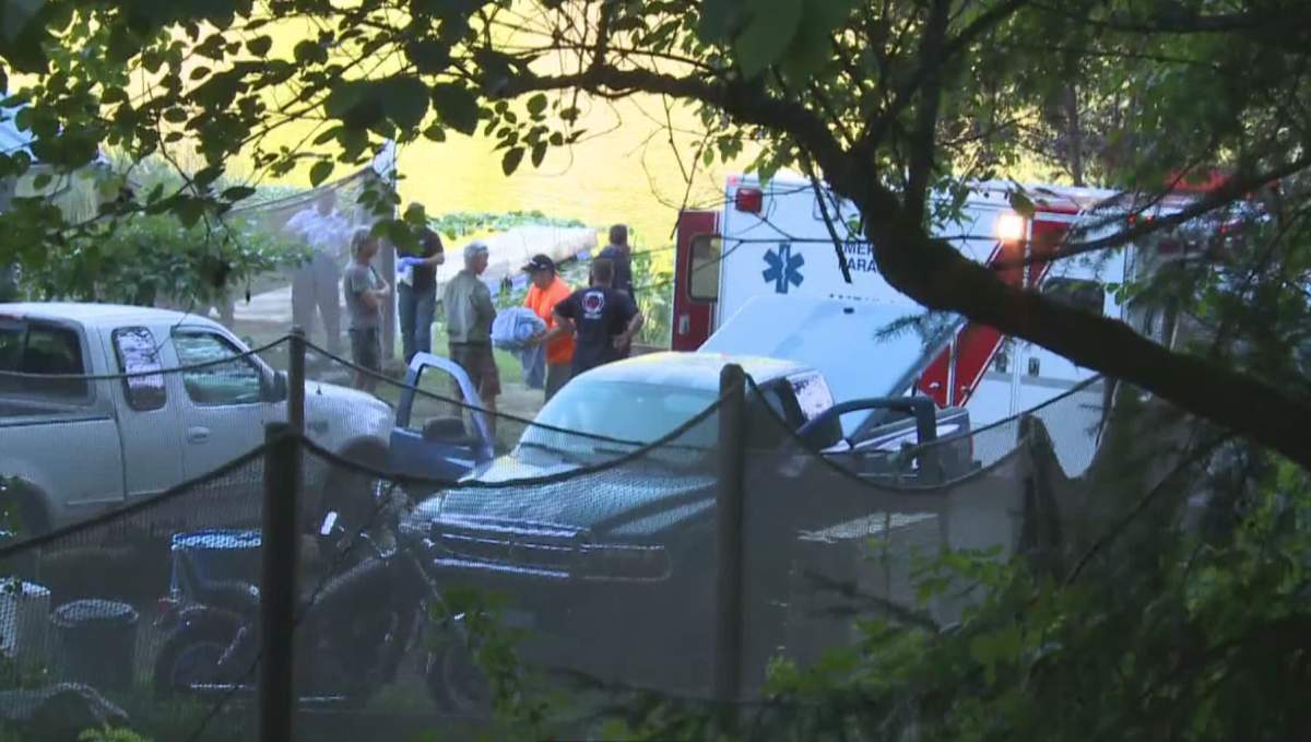 Two men went into cardiac arrest after nearly drowning on Salt Spring Island. 