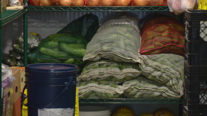 Friendship Inn is hoping backyard gardeners will donate extra produce to help feed those in need in Saskatoon.