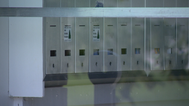 Saskatoon police say around 20 mailboxes have been broken into so far in 2016 and a woman has been charged in at least one of the thefts.