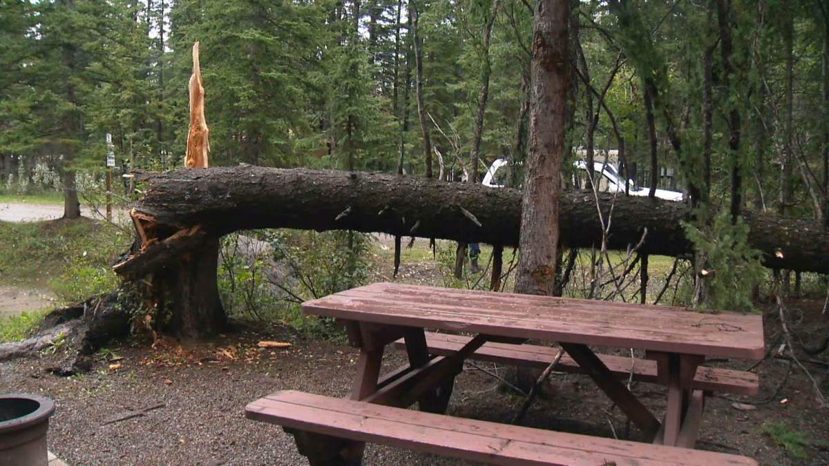 Central Alberta campground evacuated during powerful summer storm - image
