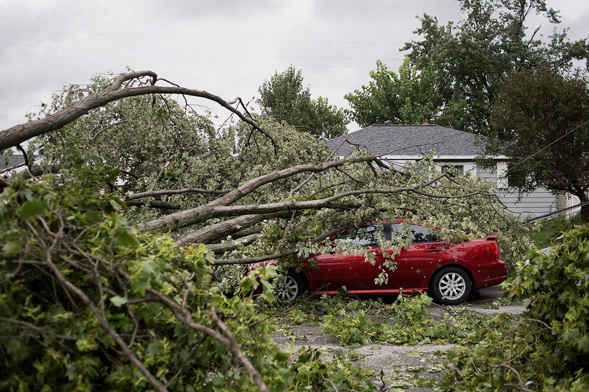 A car sits under a downed tree on Golden Street in Wyoming, Mich., Saturday, Aug. 20, 2016, after a reported tornado swept through the area.