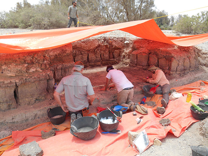 Archaeologists digging up stone tools from the site in Jordan.
