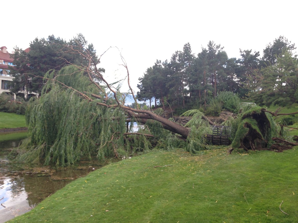 Windstorm leaves trail of destruction in Kelowna Globalnews.ca
